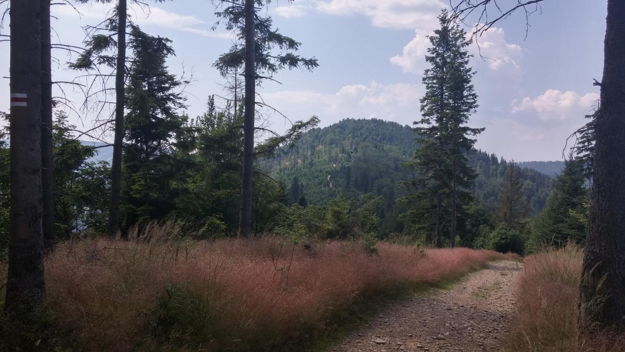 Pod Klimczokiem I Bed & Breakfast Szczyrk Bagian luar foto