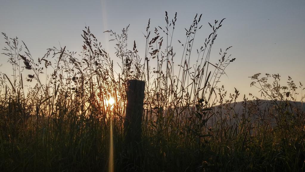 Pod Klimczokiem I Bed & Breakfast Szczyrk Bagian luar foto