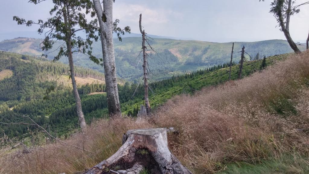 Pod Klimczokiem I Bed & Breakfast Szczyrk Bagian luar foto