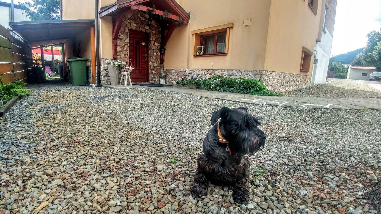Pod Klimczokiem I Bed & Breakfast Szczyrk Bagian luar foto
